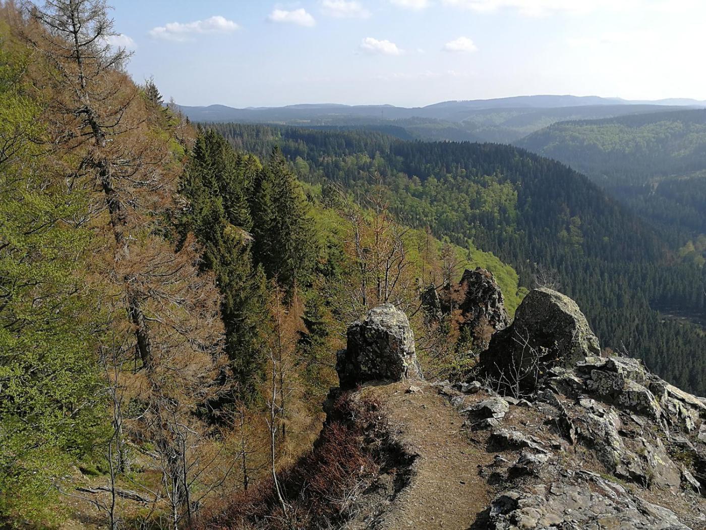 Ferienapartment Bergstation Braunlage Εξωτερικό φωτογραφία