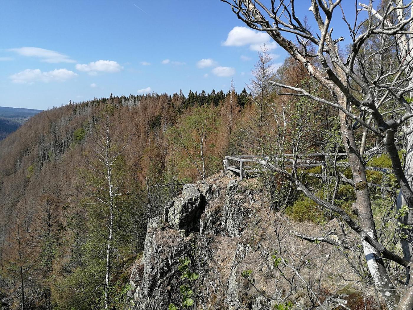 Ferienapartment Bergstation Braunlage Εξωτερικό φωτογραφία
